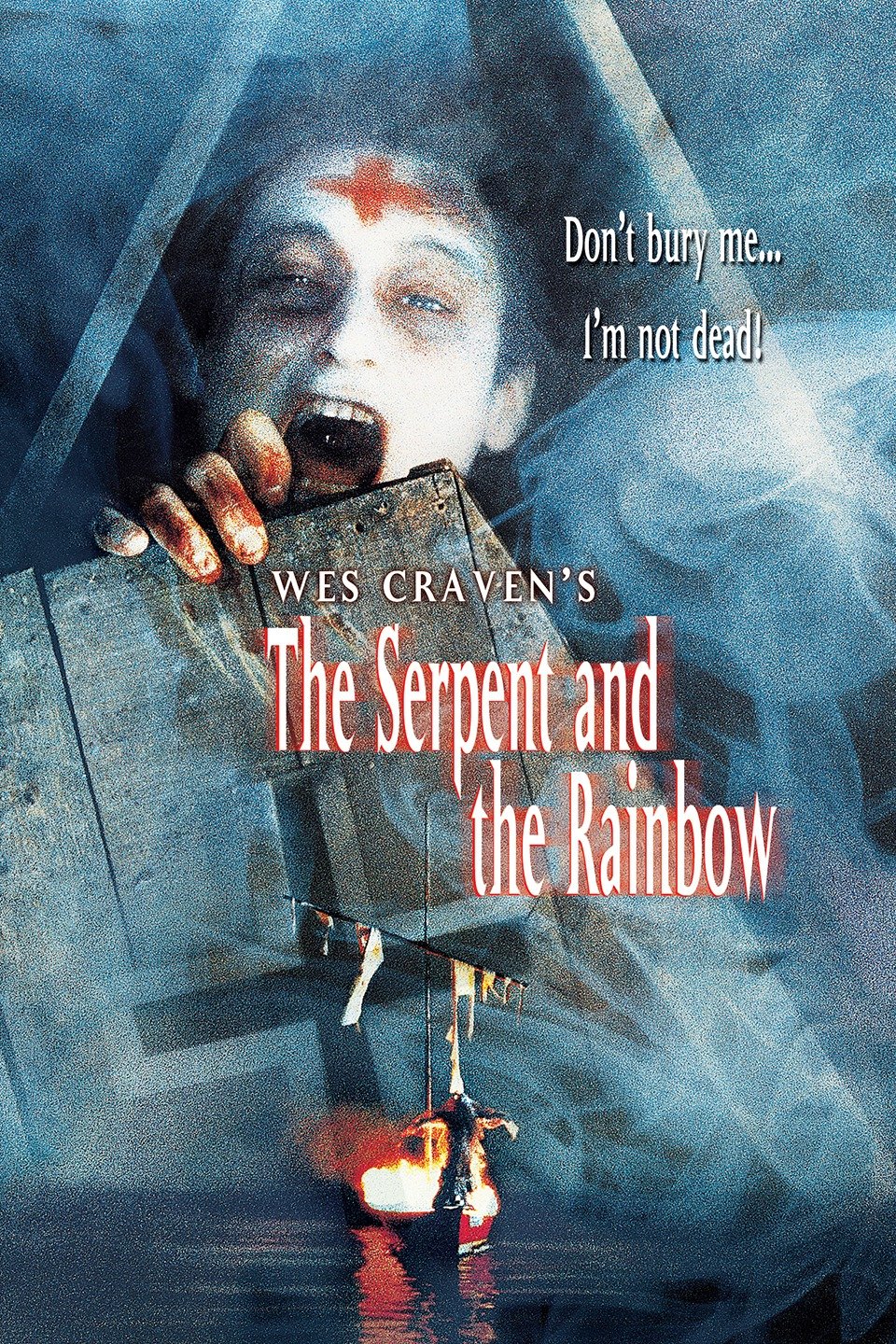 The Serpent And The Rainbow Movie Reviews
