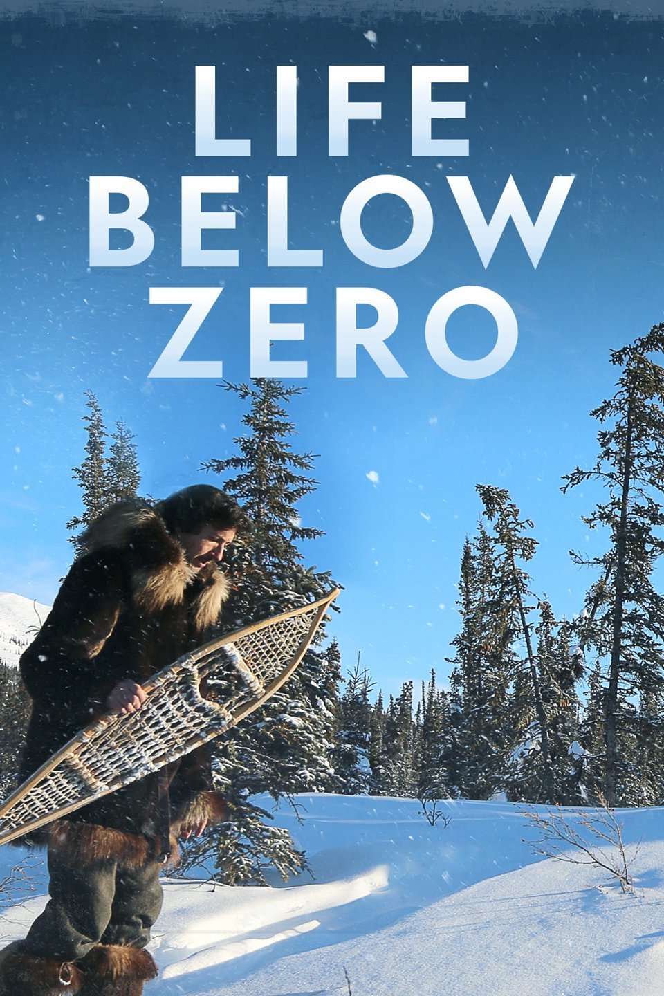 Life Below Zero Rotten Tomatoes