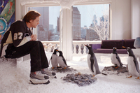 Los Pingüinos de Papá