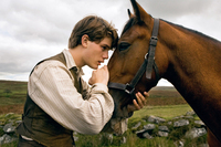 Caballo de Guerra