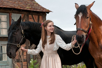 Caballo de Guerra