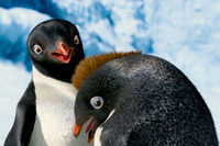 Happy Feet 2