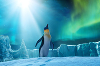 Happy Feet 2