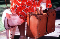 Babe, el Cerdito en la Ciudad