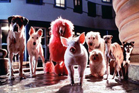 Babe, el Cerdito en la Ciudad
