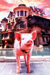 Babe, el Cerdito en la Ciudad