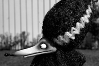 Frankenweenie