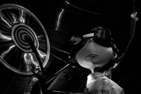 Frankenweenie