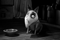 Frankenweenie