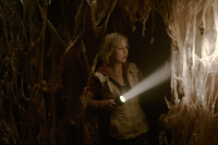 Terror en Silent Hill: la revelación