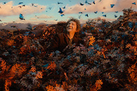 El Hobbit: La desolación de Smaug