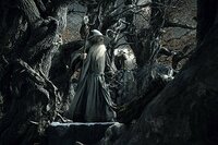El Hobbit: La desolación de Smaug
