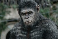 Planeta de los Simios: Confrontación