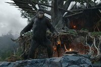 Planeta de los Simios: Confrontación