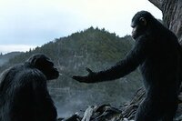 Planeta de los Simios: Confrontación