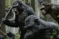 Planeta de los Simios: Confrontación