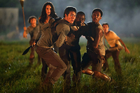 The Maze Runner: Correr o Morrir