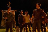 The Maze Runner: Correr o Morrir