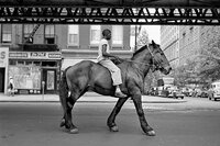 Encontrando a Vivian Maier