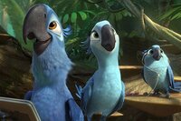 Rio 2