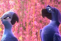 Rio 2