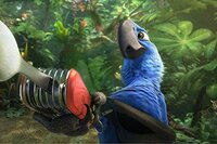 Rio 2