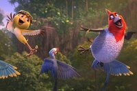 Rio 2