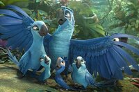 Rio 2