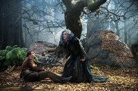 En el Bosque