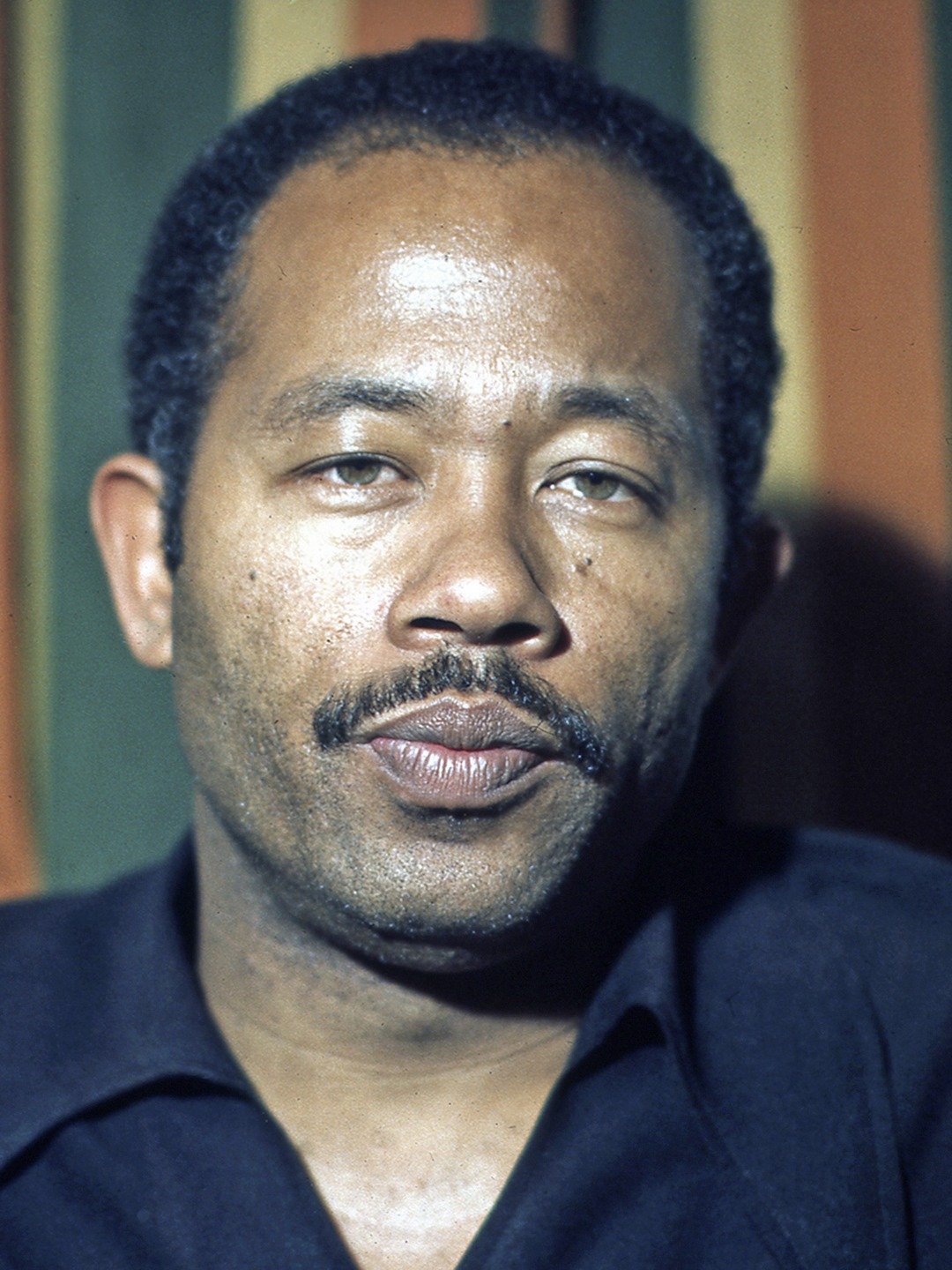 Eldridge Cleaver Pictures Rotten Tomatoes