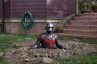 Ant-Man El Hombre Hormiga