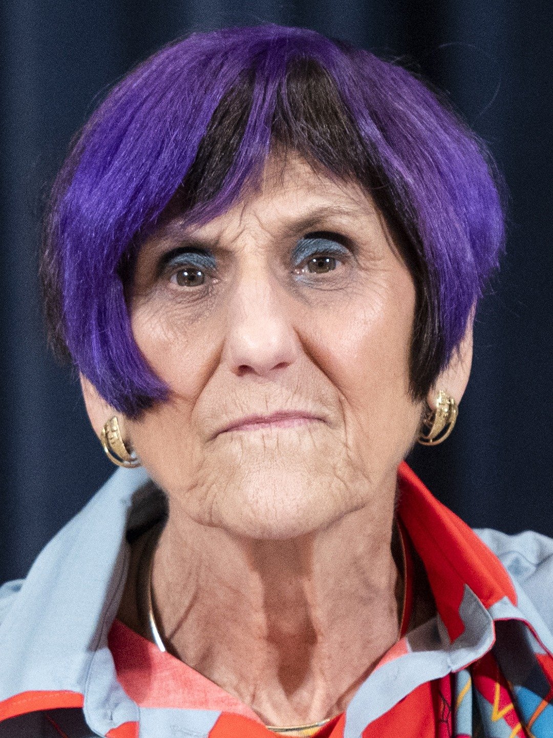 Rep Rosa Delauro Pictures Rotten Tomatoes 3387