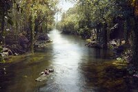 El Libro de la Selva