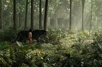 El Libro de la Selva