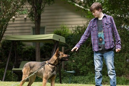 Max and Josh Wiggins as Justin Wincott in "Max."