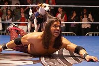 El Perro Luchador