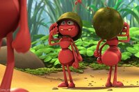 La abeja Maya. La película