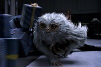 Animales Fantásticos y Dónde Encontrarlos