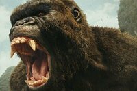 Kong: La Isla Calavera