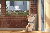 La Vida Secreta de tus Mascotas