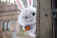 La Vida Secreta de tus Mascotas