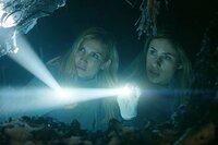 Harbinger Down