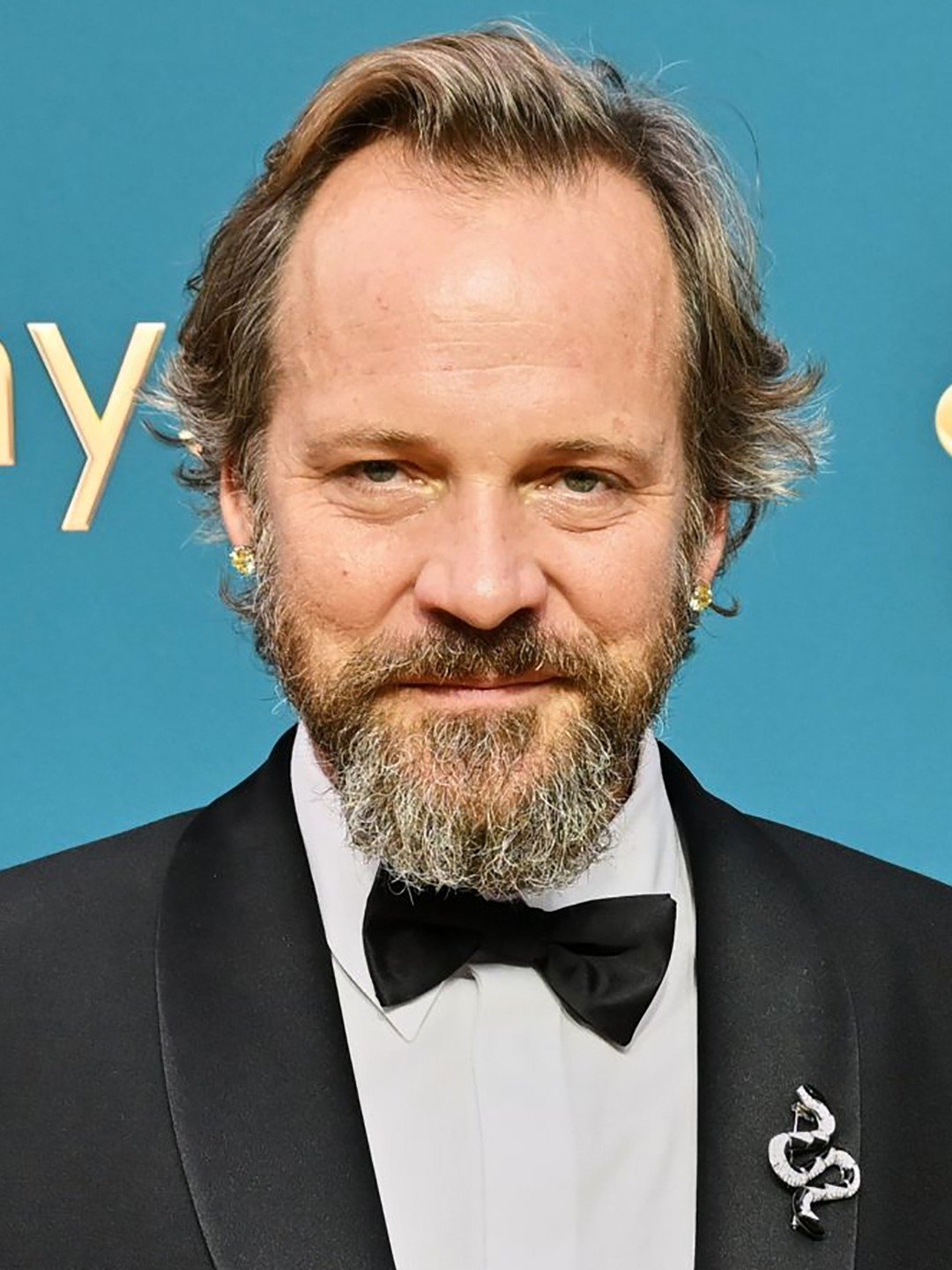 Peter Sarsgaard Movies