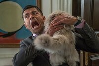 Mi Papá es un Gato