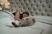 Mi Papá es un Gato