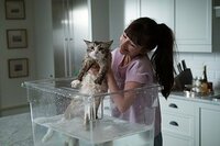 Mi Papá es un Gato