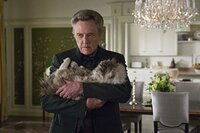 Mi Papá es un Gato