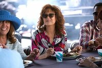 The Meddler