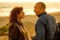The Meddler