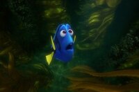 Buscando a Dory